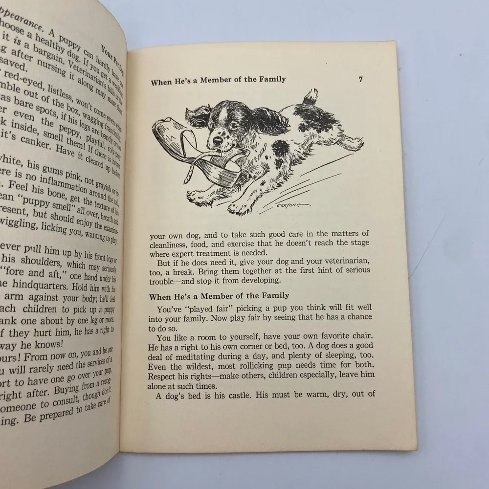 Vintage 1955 Your Pet Dog Gabrielle Forbush All-Pets Books Illustrated Paperback